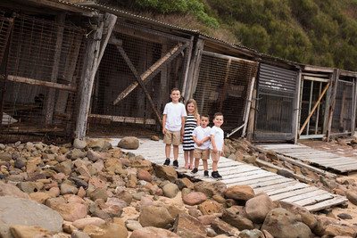 PJP-17